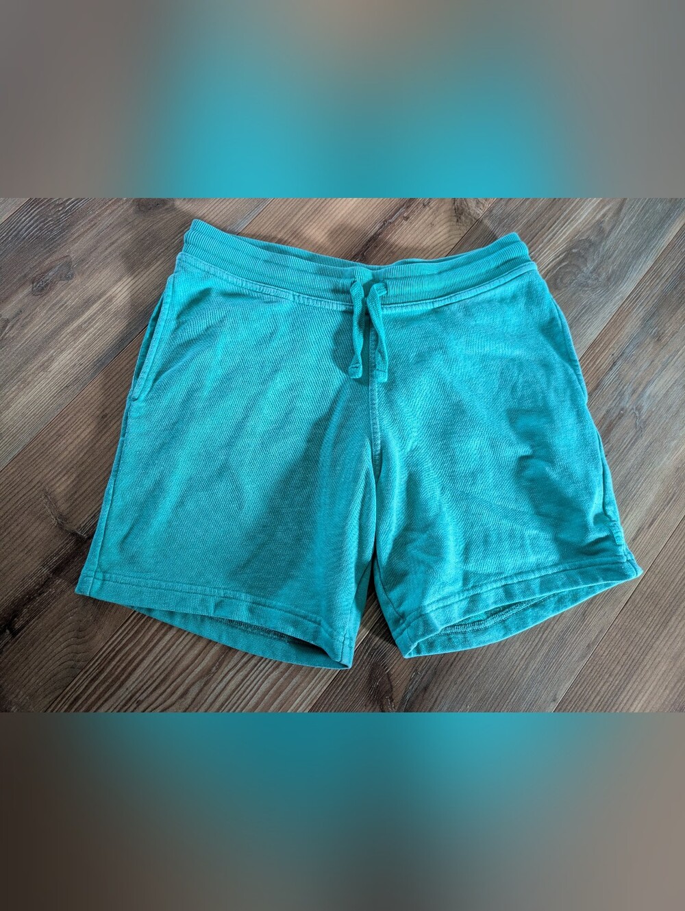 Chubbies Teal Fleece Lounge Sweat Shorts Small